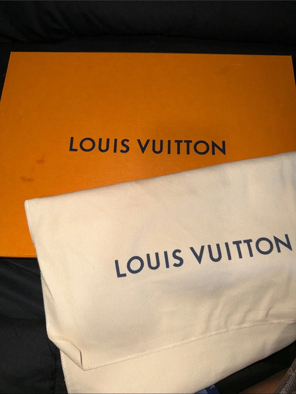 Louis Vuitton Daily Pouch